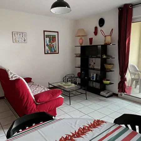 Appartement Cambo-les-bains, 2 Pièces, 3 Personnes - Fr-1-495-69