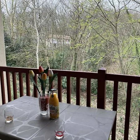 Cambo-les-bains, 2 Pièces, 3 Personnes - Fr-1-495-69 Appartement
