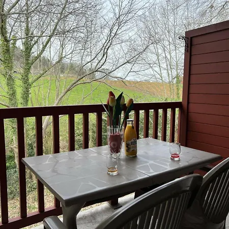 Cambo-les-bains, 2 Pièces, 3 Personnes - Fr-1-495-69 *